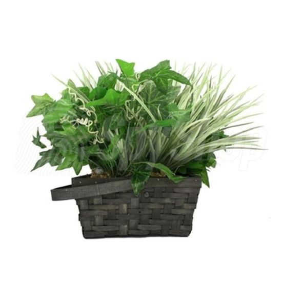 Mini WiFi hidden camera in a potted plant for elderly people