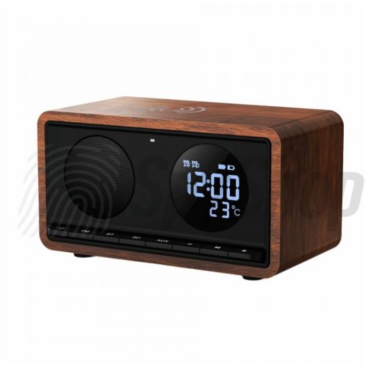 Radio with camera CAM-R1 - Full HD recordings, built-in microphone