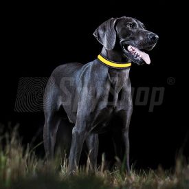 Dog collar for the Tractive GPS Tracker with LED diodes