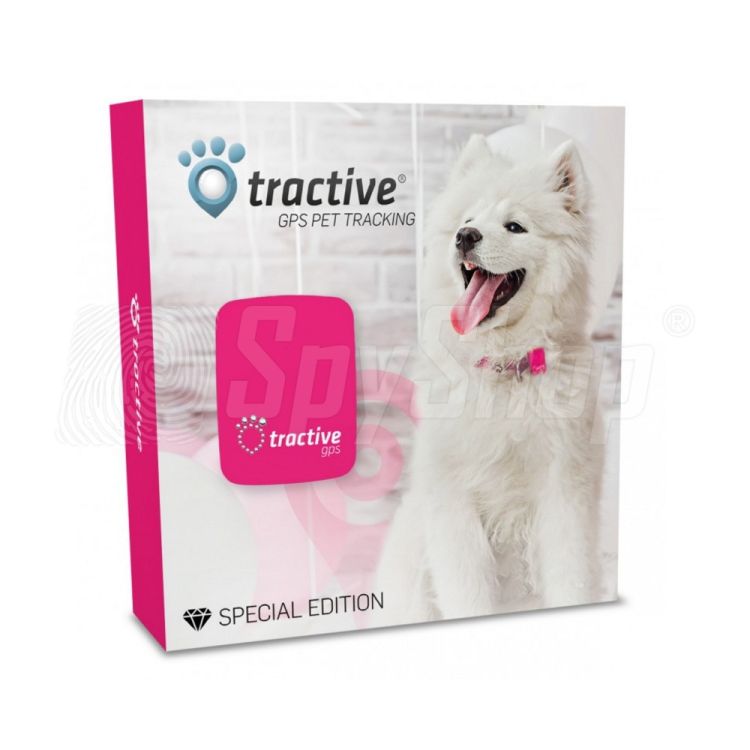 GPS Tractive ® for a dog with cubic zirconia