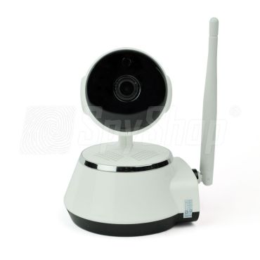Security IP camera BC-10 for discreet round-the-clock home monitoring