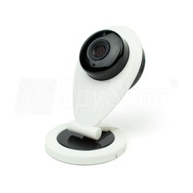 Home security camera IP BC-20 for day and night video recording