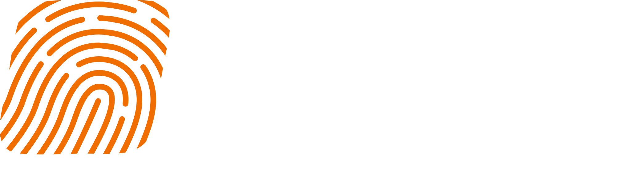 Detective-store Blog