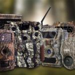 A compilation of the best models of photobucket, various models are visible on a blurred background.
