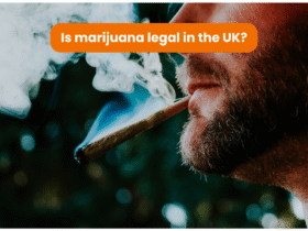 Close-up of a bearded man smoking a marijuana joint, with smoke rising. The image relates to the legality of marijuana in the UK.