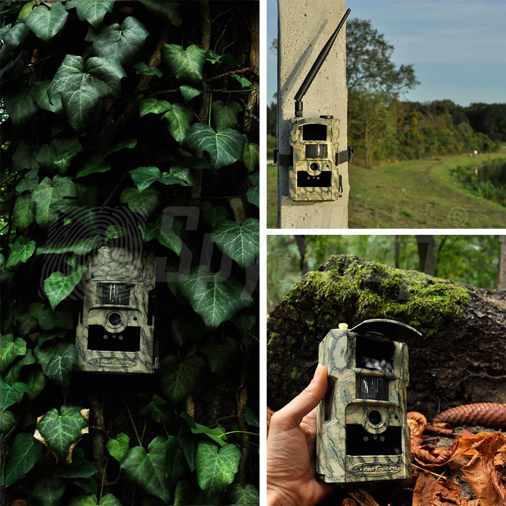 Trail camera SG882MK for backwaters monitoring